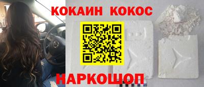 дмт Гай