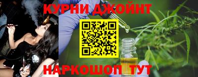 дмт Гай