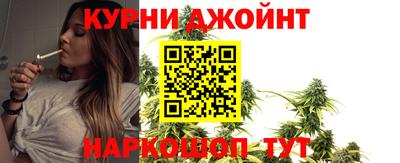 дмт Гай