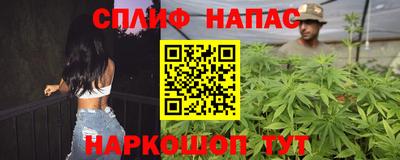 дмт Гай