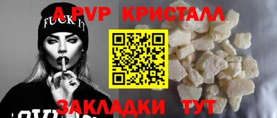 дмт Гай